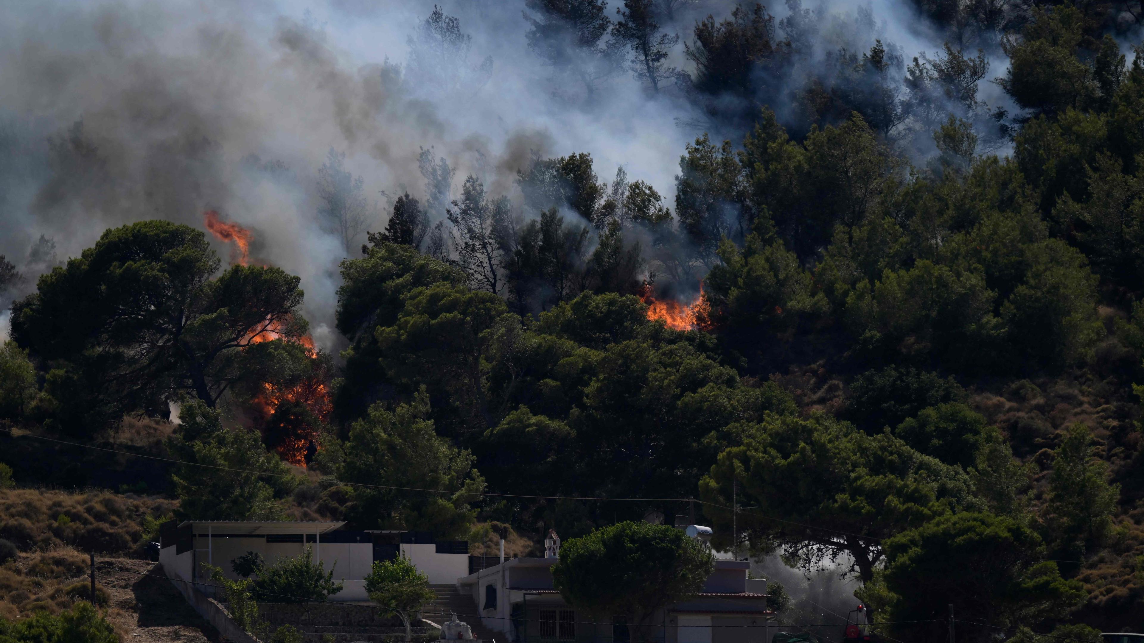 Am 30. Juni 2024 nähert sich ein Waldbrand Häusern in Keratea bei Athen.