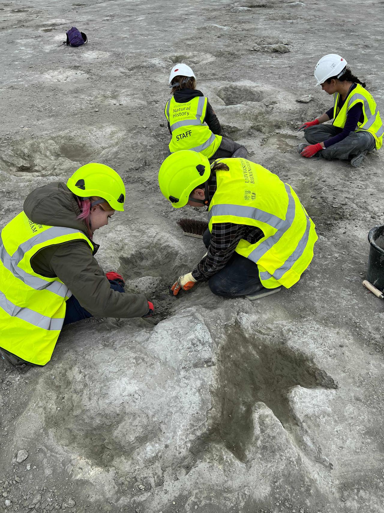 Großbritannien, Oxfordshire: Fast 200 Dinosaurier-Fußabdrücke wurden diesen Sommer in einem Steinbruch in Oxfordshire entdeckt