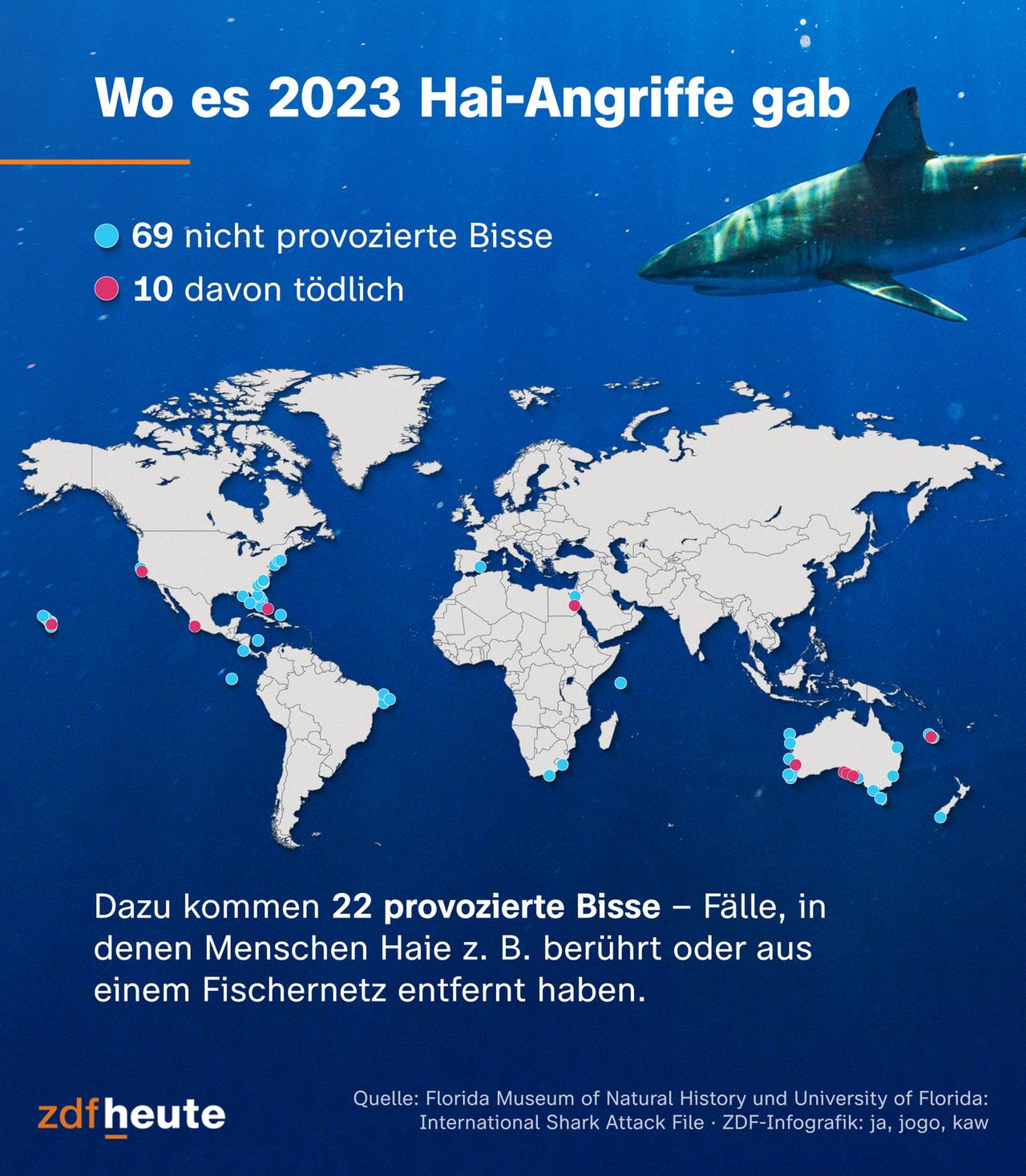 Im Jahr 2023 gab es weltweit 69 Hai-Angriffe, 10 davon endeten tödlich. Die meisten ereigneten sich in den USA, gefolgt von Australien.