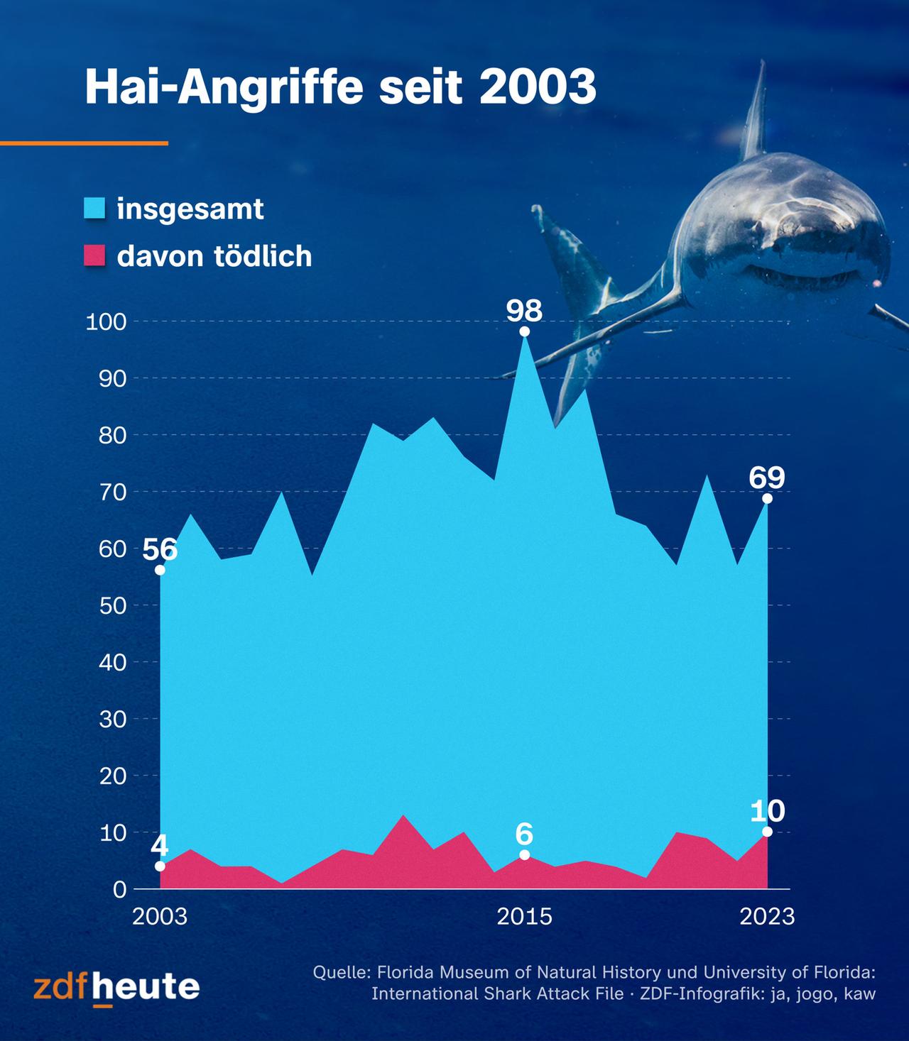 Seit 2003 liegt die Zahl der unprovozierten Hai-Angriffe auf Menschen bei unter 100 pro Jahr. 2023 gab es 10 Todesfälle.