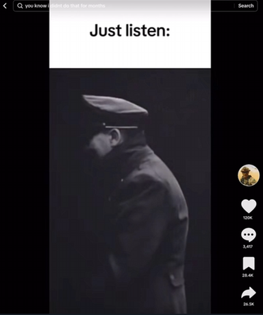 Tiktok-Screenshot von Hitler-Video