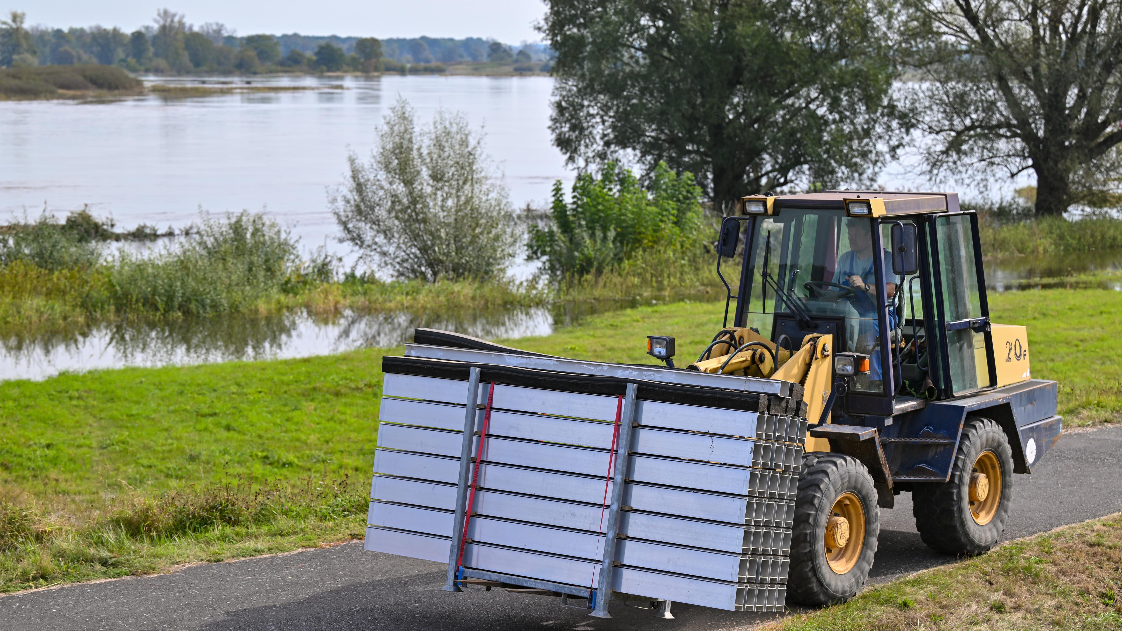 Auf dem Deich unweit vom Zusammenfluss der Neiße in den Fluss Oder wird eine mobile Hochwasserschutzwand aufgebaut.