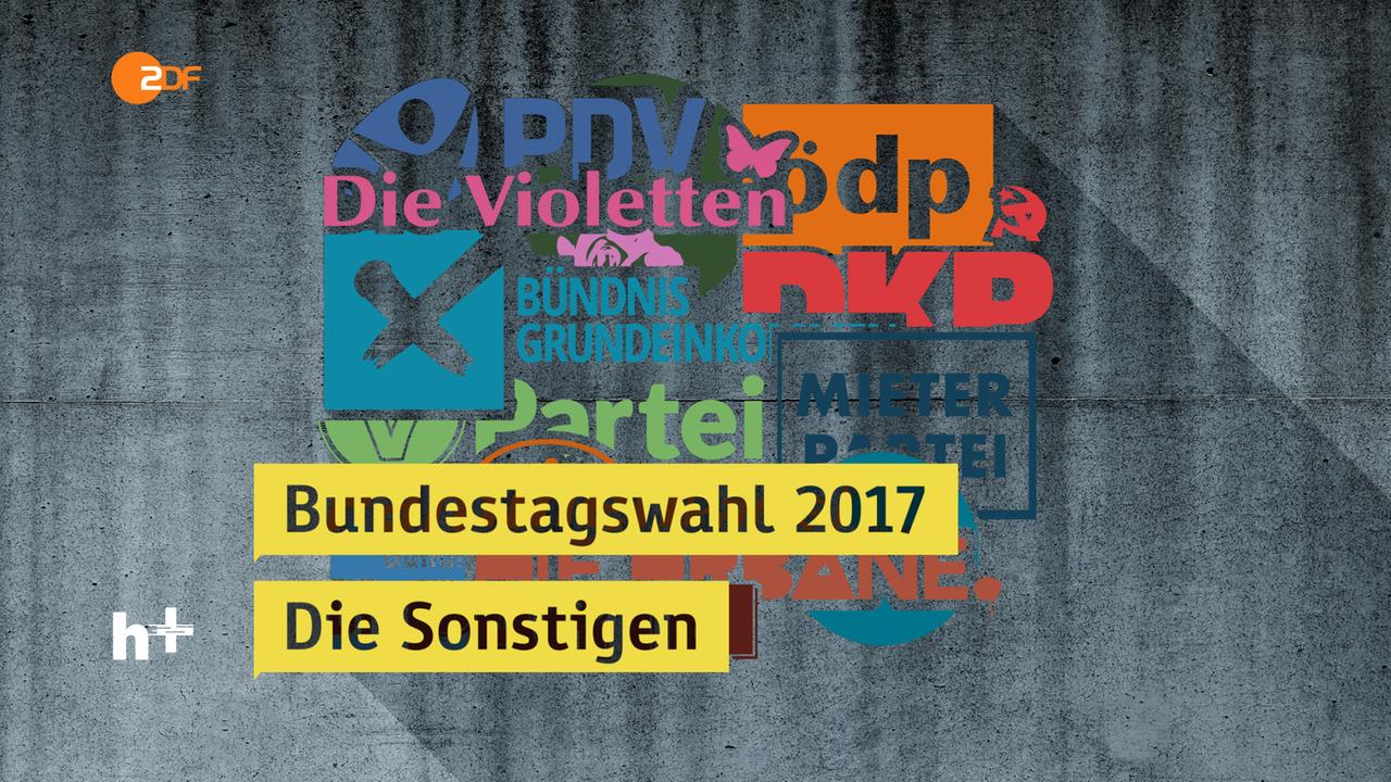 Kleine Parteien Bei Der Bundestagswahl - ZDFheute