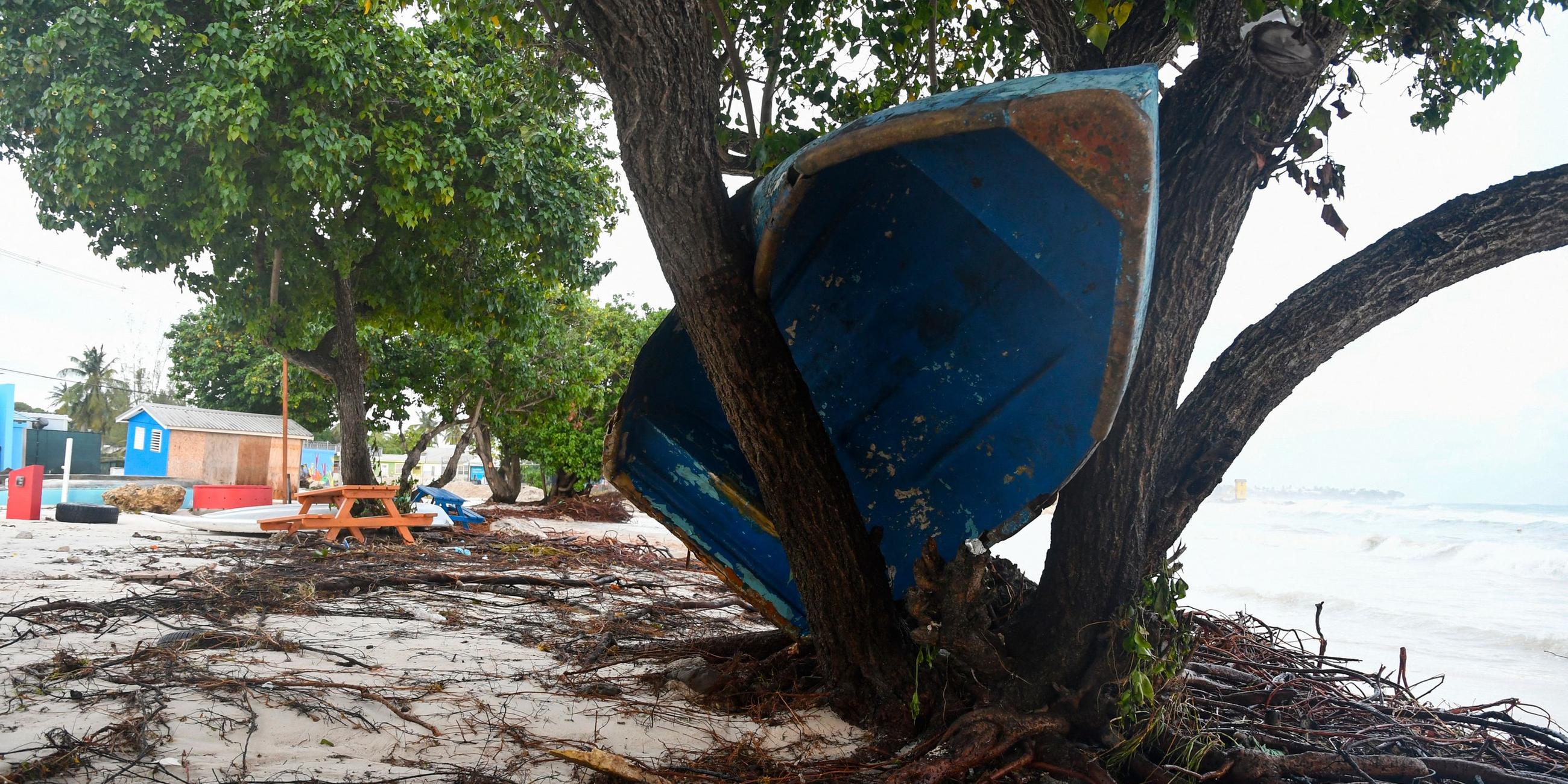 Ein Boot landete in einem Baum, nachdem Hurrikan Beryl am 1. Juli 2024 in Oistins Gardens, Christ Church, Barbados, vorbeizog.