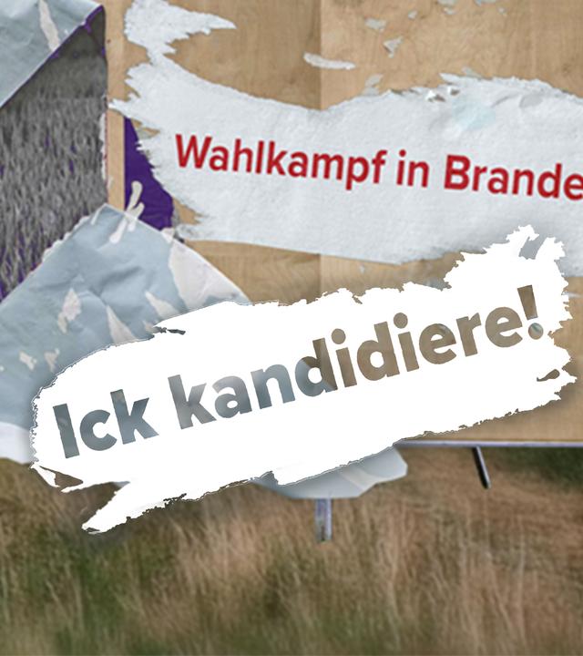 Ick kandidiere! Wahlkampf in Brandenburg