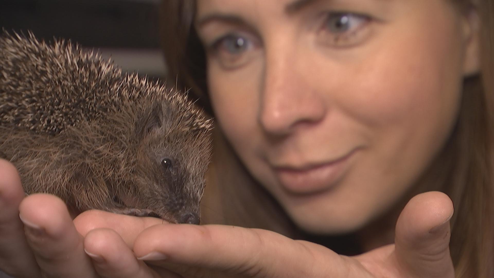 Magdalena zu besuch bei Igel-Auffangstation