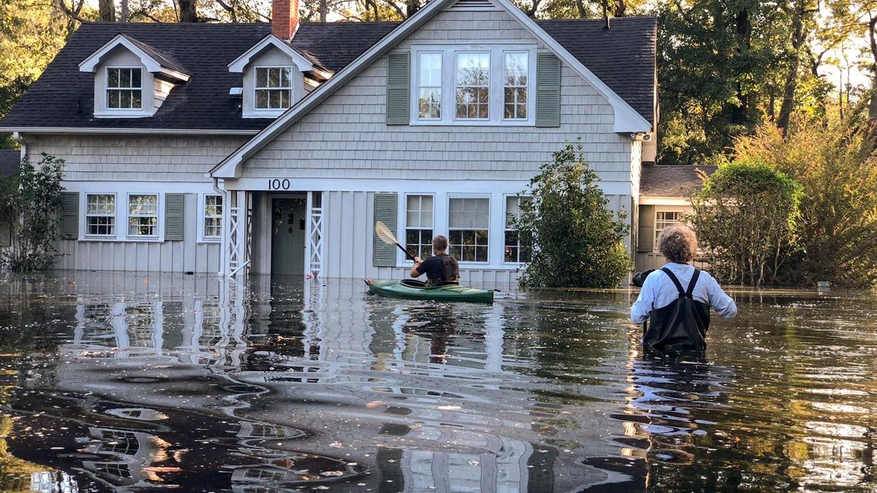 Unser Wasser Faszinierende Wunderwelten 3 3 Auf Dem Trockenen Zdfmediathek