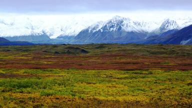 Dokumentation - Im Zauber Der Wildnis - Denali National Park