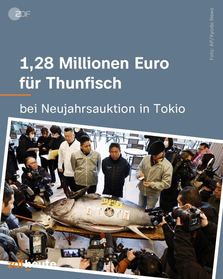 1,28 Millionen Euro für Thunfisch: Bei Neujahrsauktion in Tokio