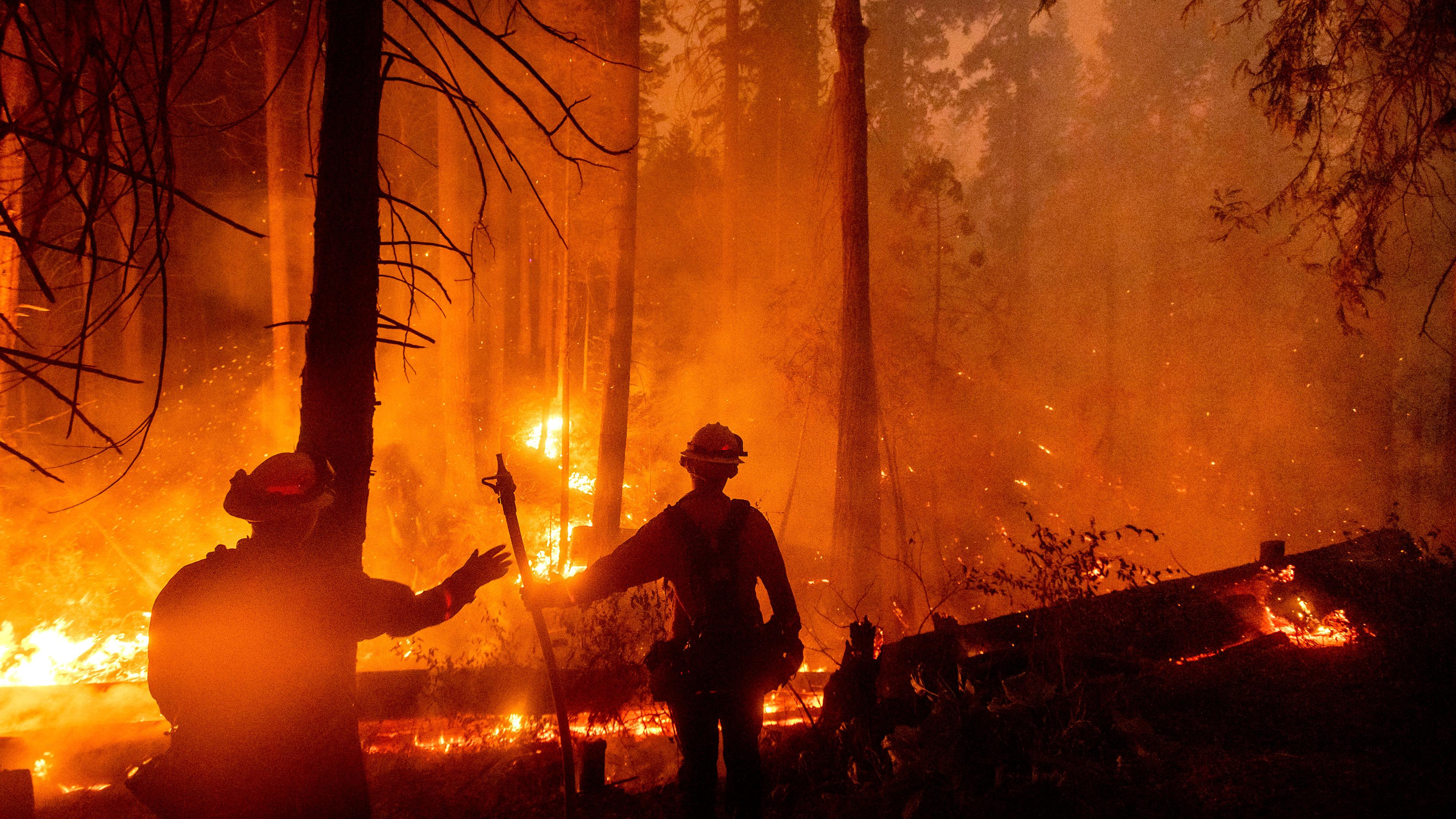 Logo Heftige Waldbrande In Kalifornien Zdftivi