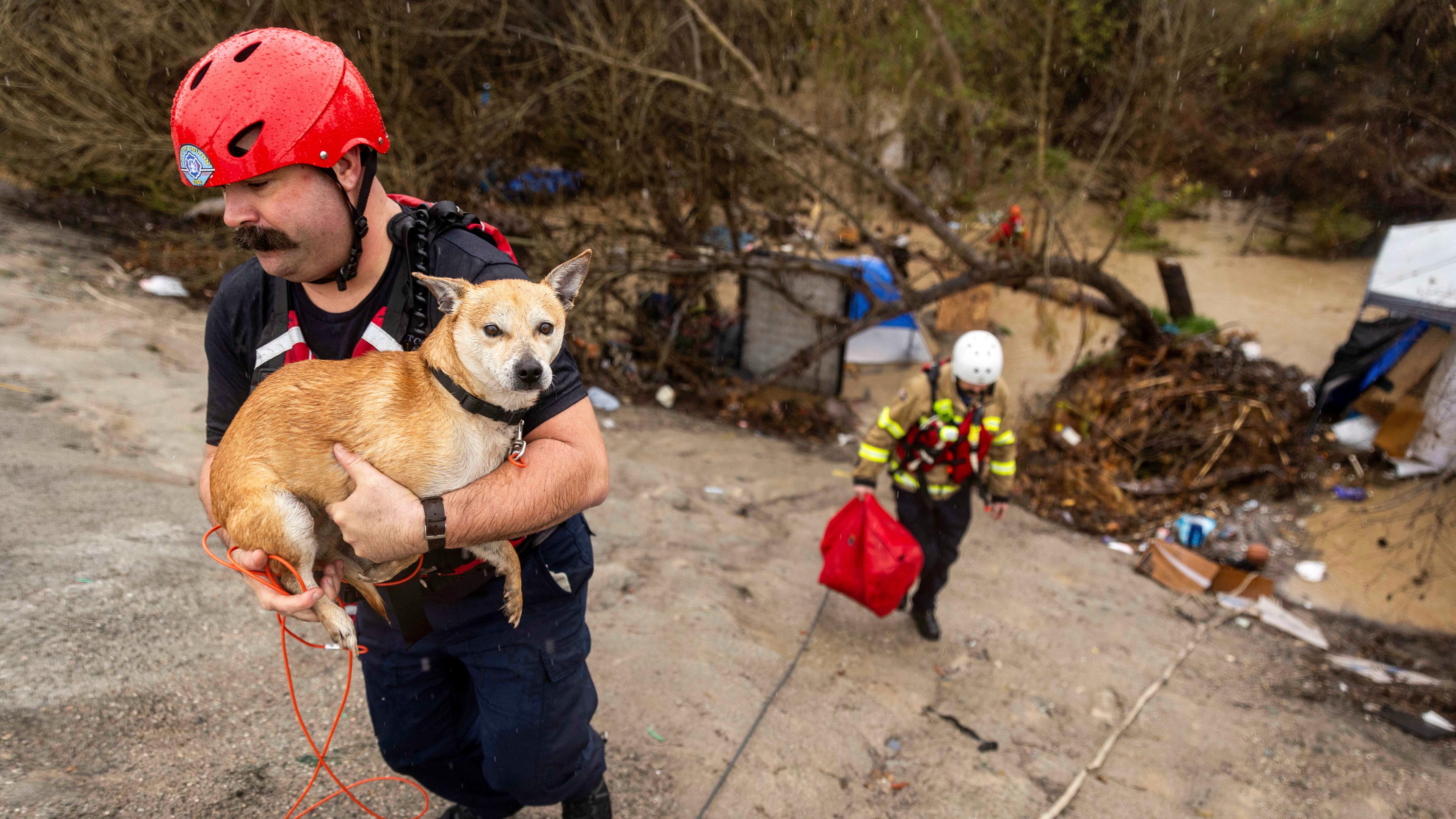 USA, San Bernardino: Feuerwehrleute retten in San Bernardino, Kalifornien, einen Hund aus einem Obdachlosenlager, das während eines Regenschauers von den Fluten des Santa Ana River umspült wurde.