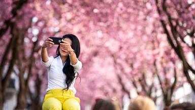 Umfrage: Selfies entscheiden &uuml;ber Urlaubsziel