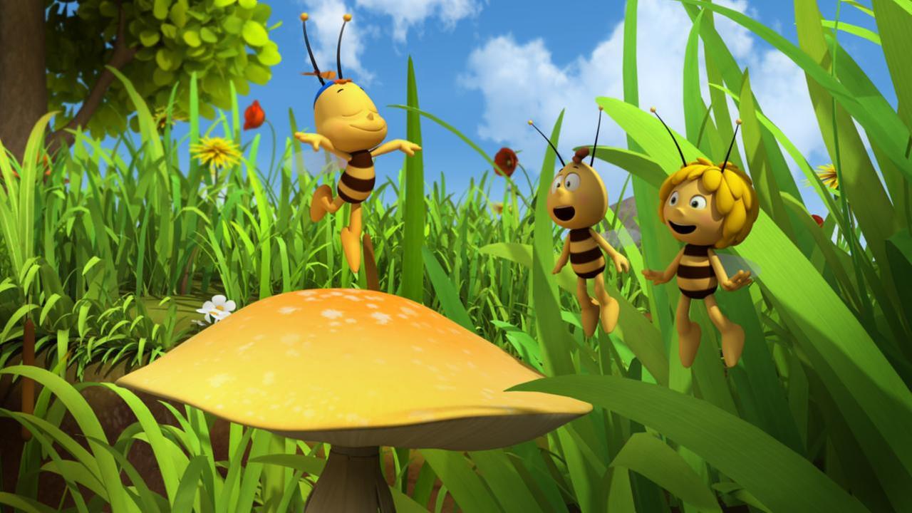 Die Biene Maja: Der kleine Ausreißer - ZDFtivi