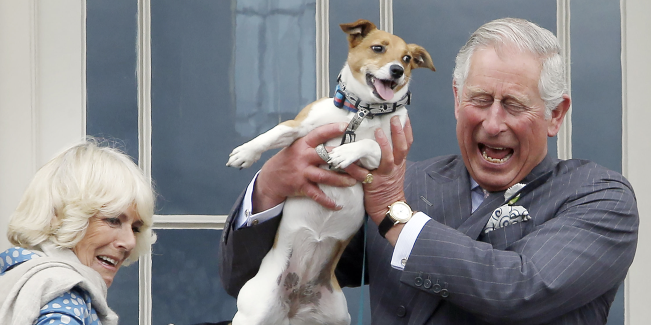 Königin Camilla und König Charles mit ihren Hunden