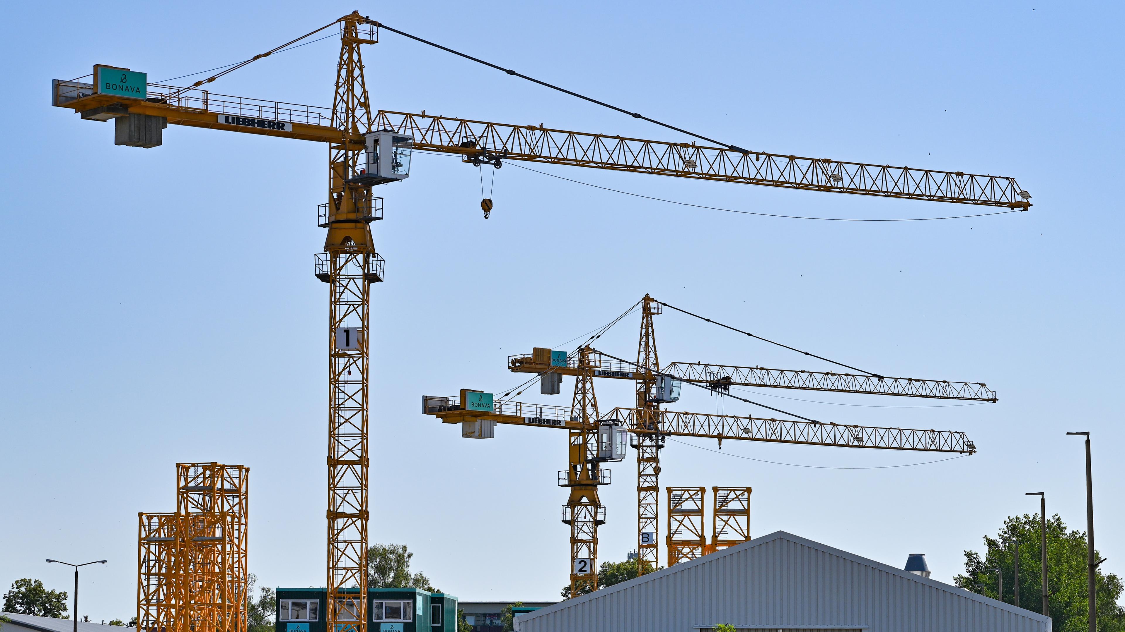 Mehrere Kräne stehen auf einer Baustelle