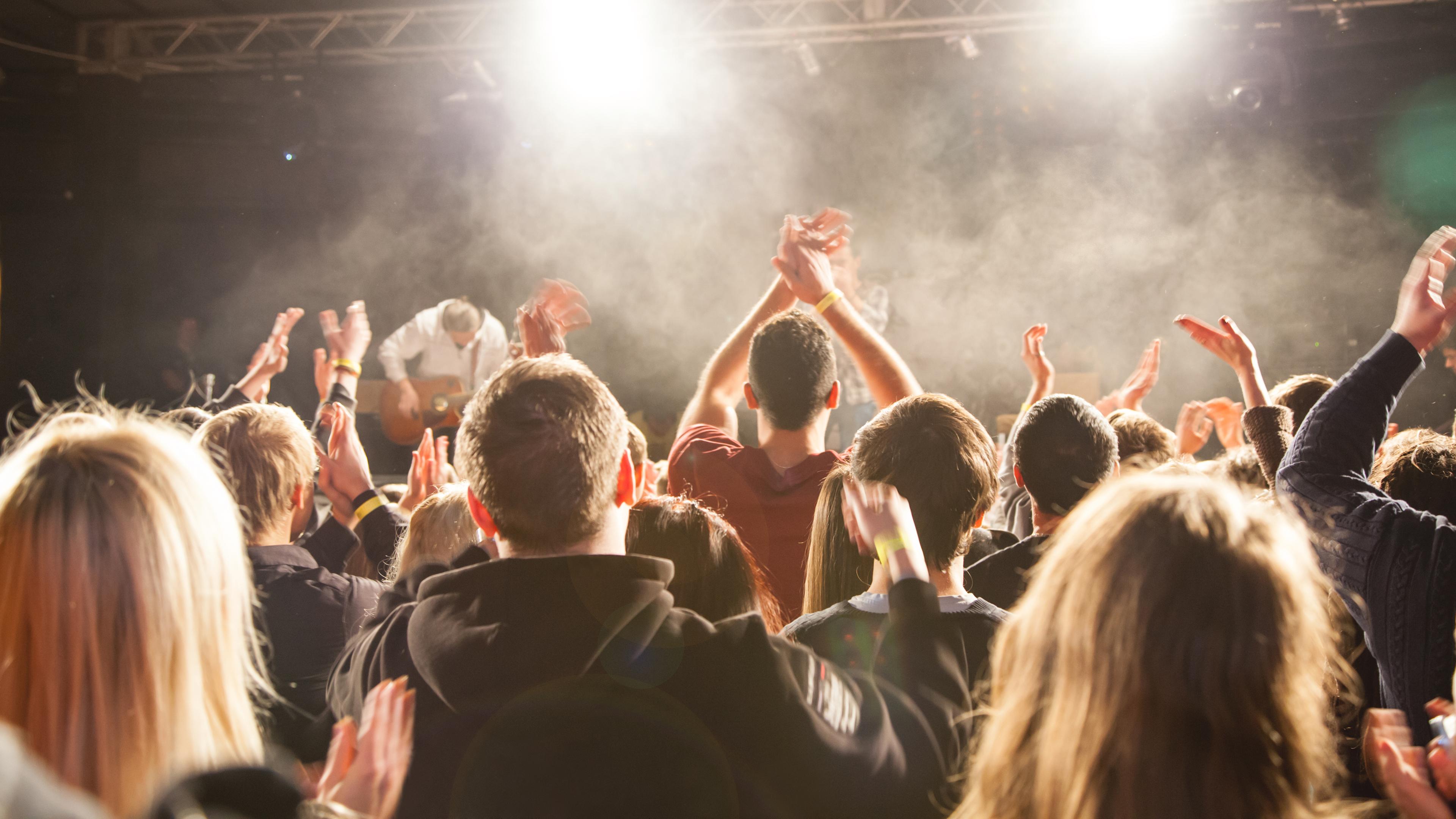 Ein Publikum bei einem Konzert.