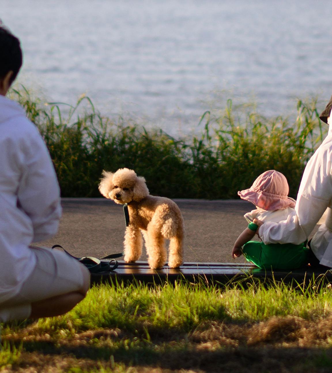 Ehepaar mit Hund und Kind in Seoul, Südkorea