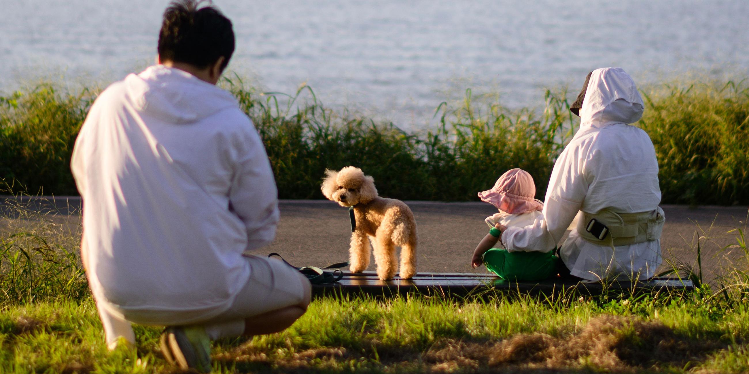 Ehepaar mit Hund und Kind in Seoul, Südkorea