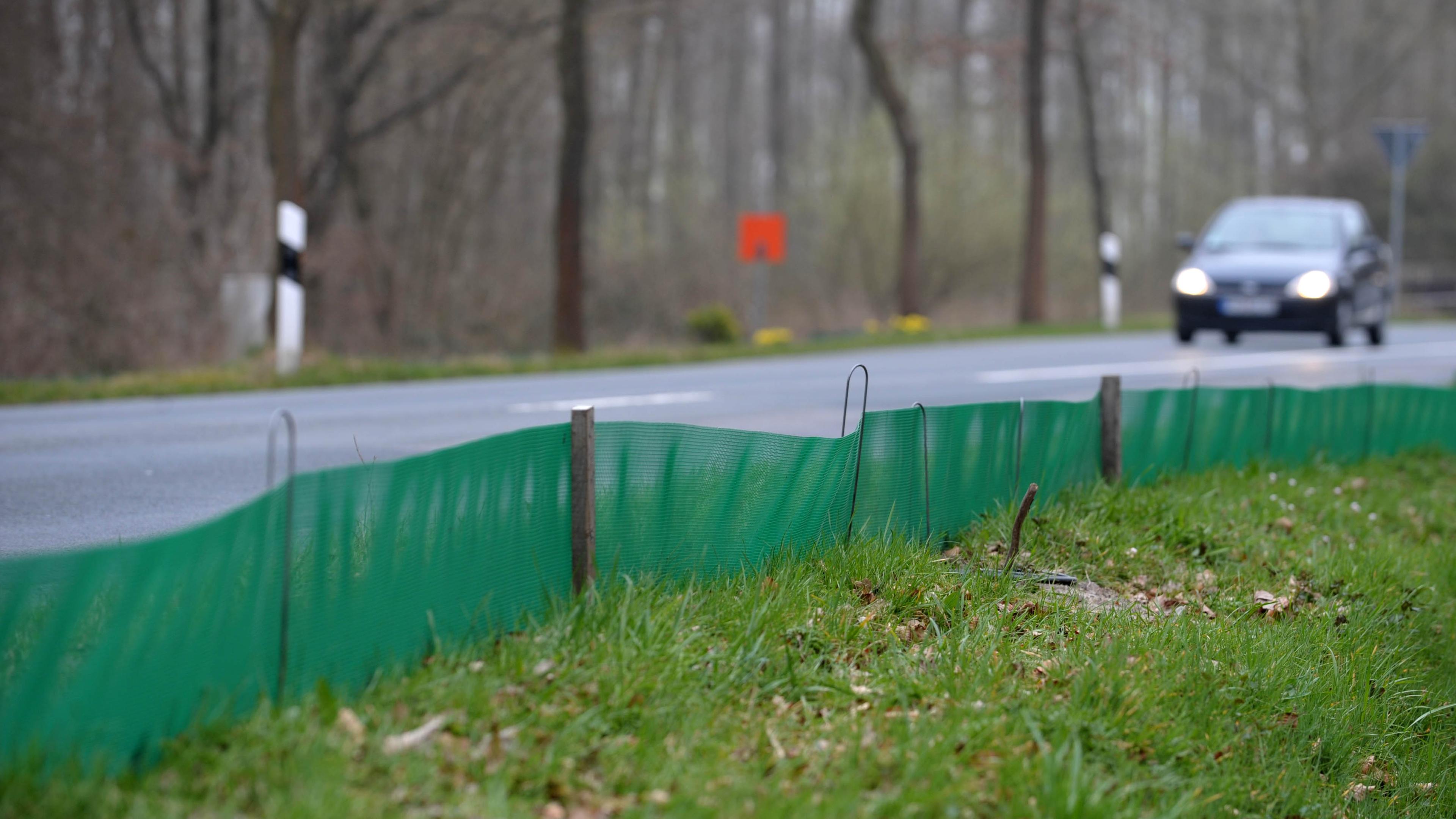 Schutzzaun für Kröten an einer Straße