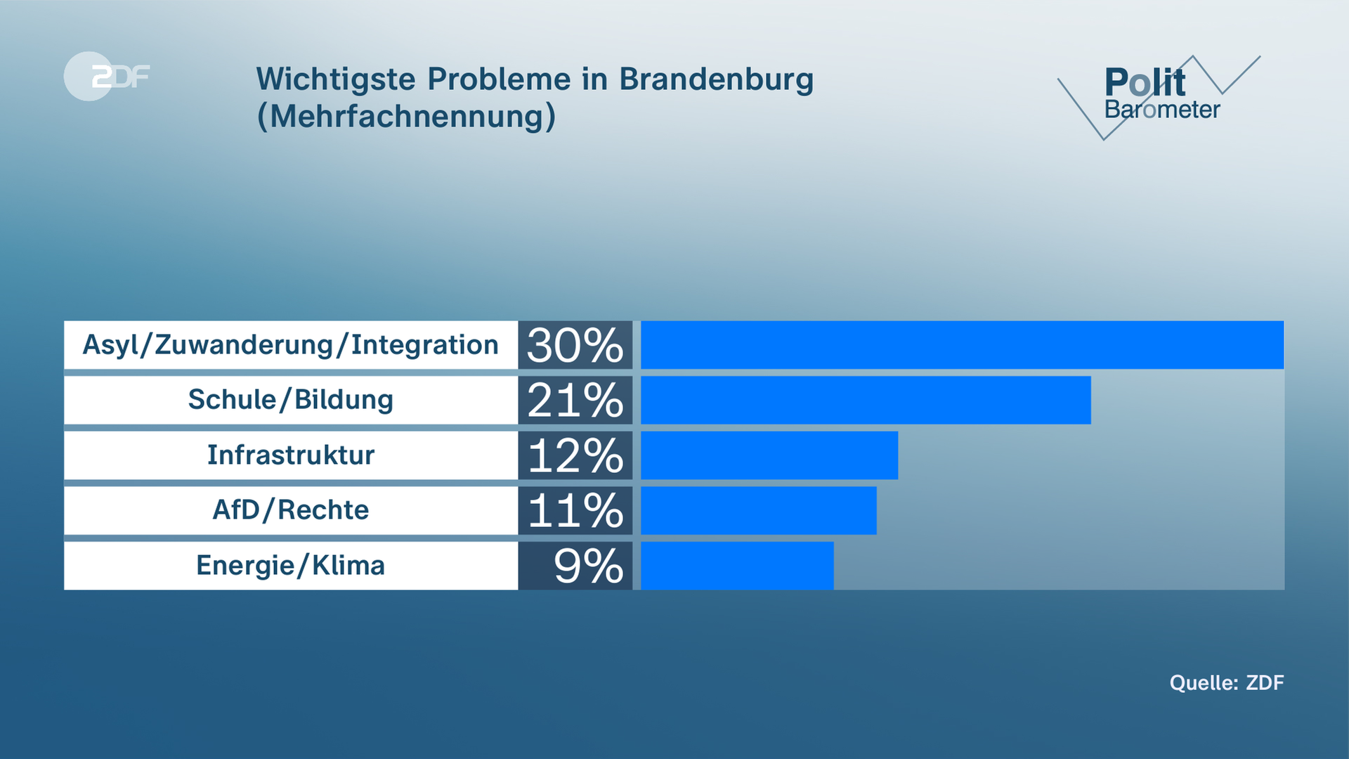 Eine Grafik zeigt, was die Menschen in Brandenburg als wichtigste Probleme ansehen.