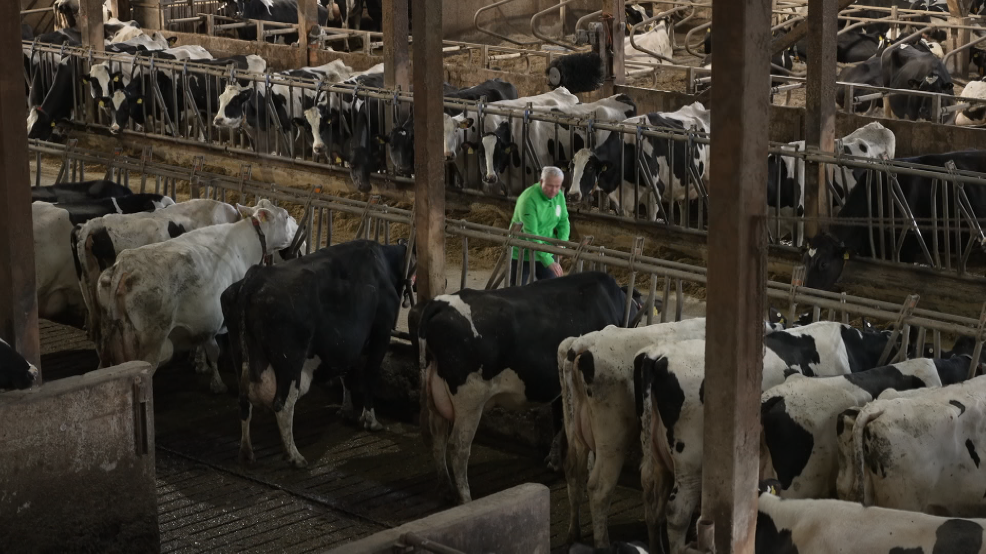 Landwirt Fred Arkenberg im Kuhstall auf seinem Landwirtschaftsbetrieb.