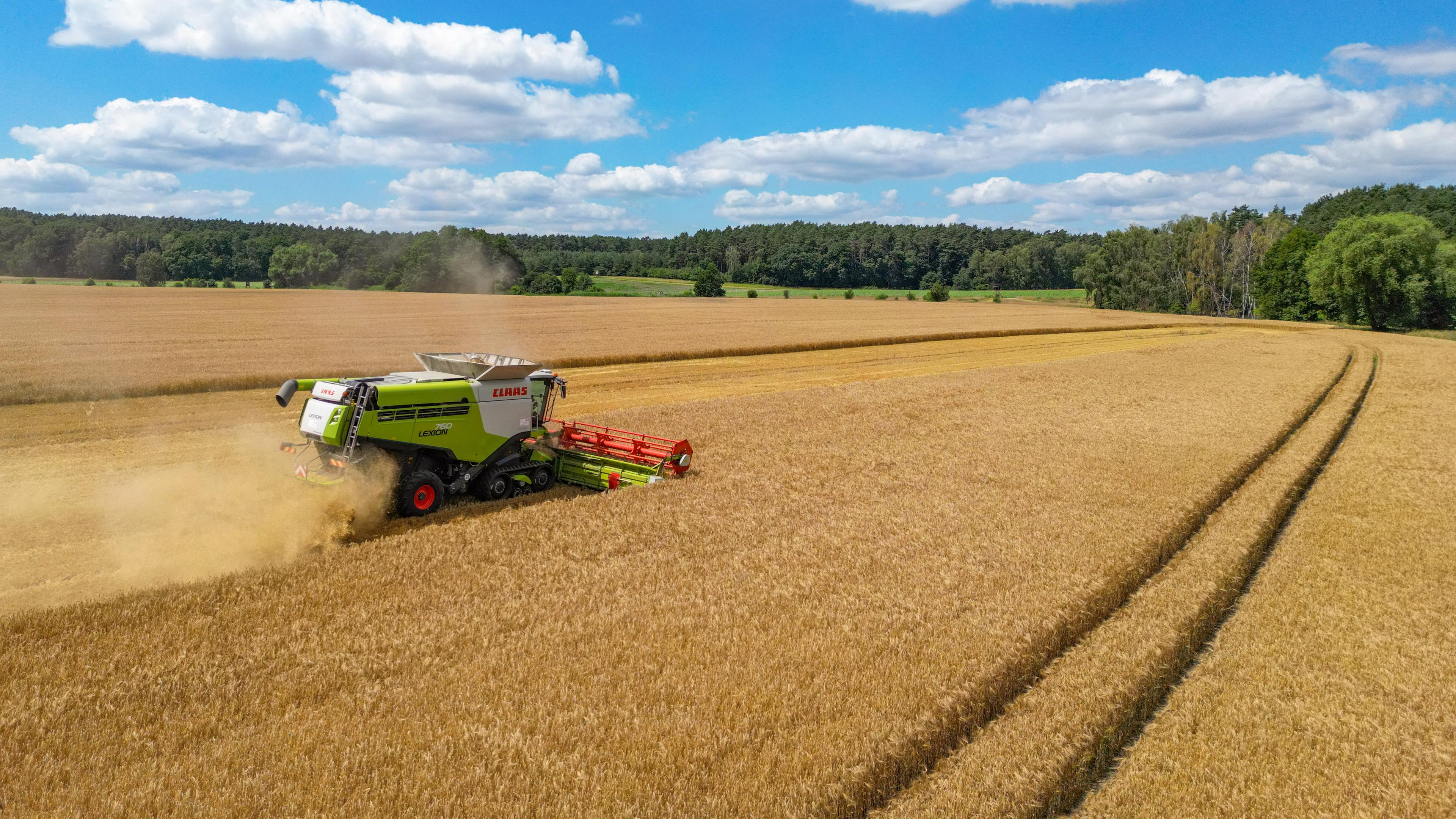 Ein Mähdrescher auf einem Feld.