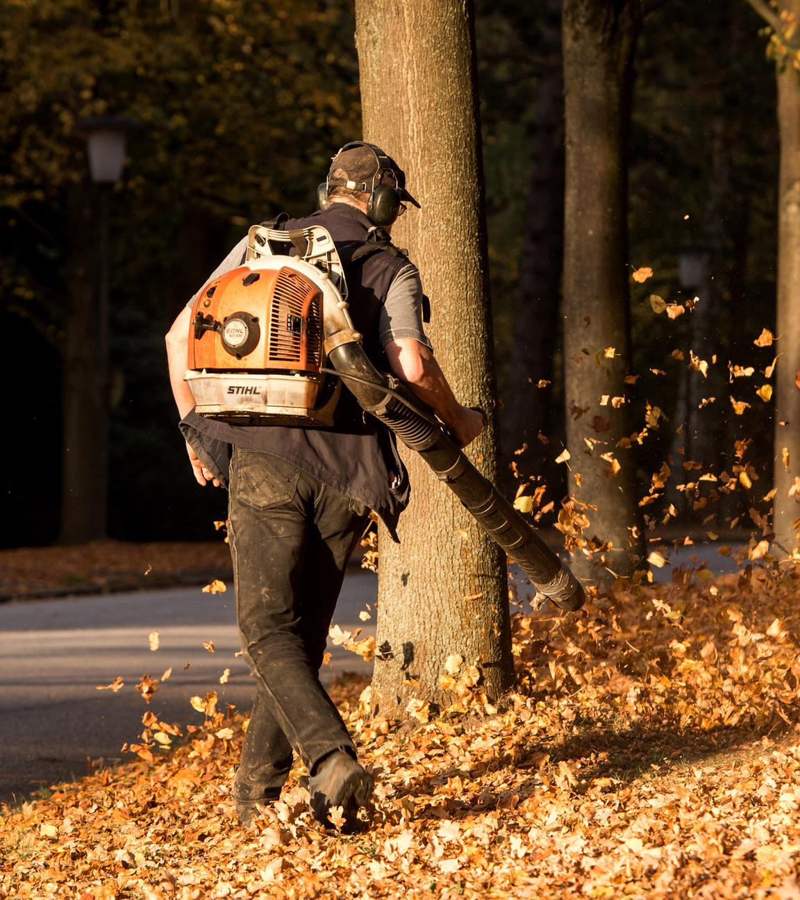 Hamburg: Ein Mann entfernt auf dem Ohlsdorfer Friedhof mit einem Laubgebläse herbstlich verfaerbte Blätter.