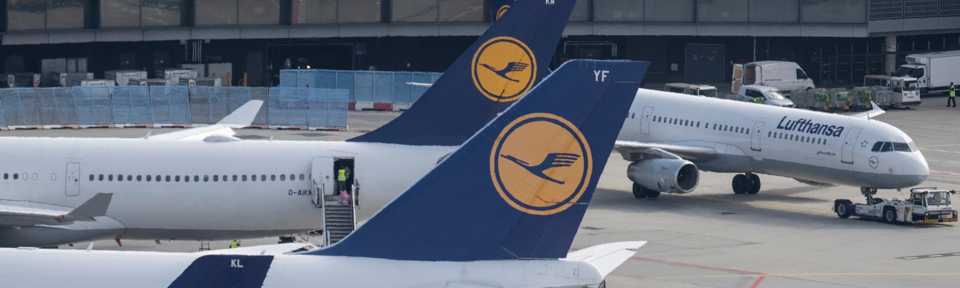 Passagierjets der Lufthansa stehen auf dem Flughafen Frankfurt. 