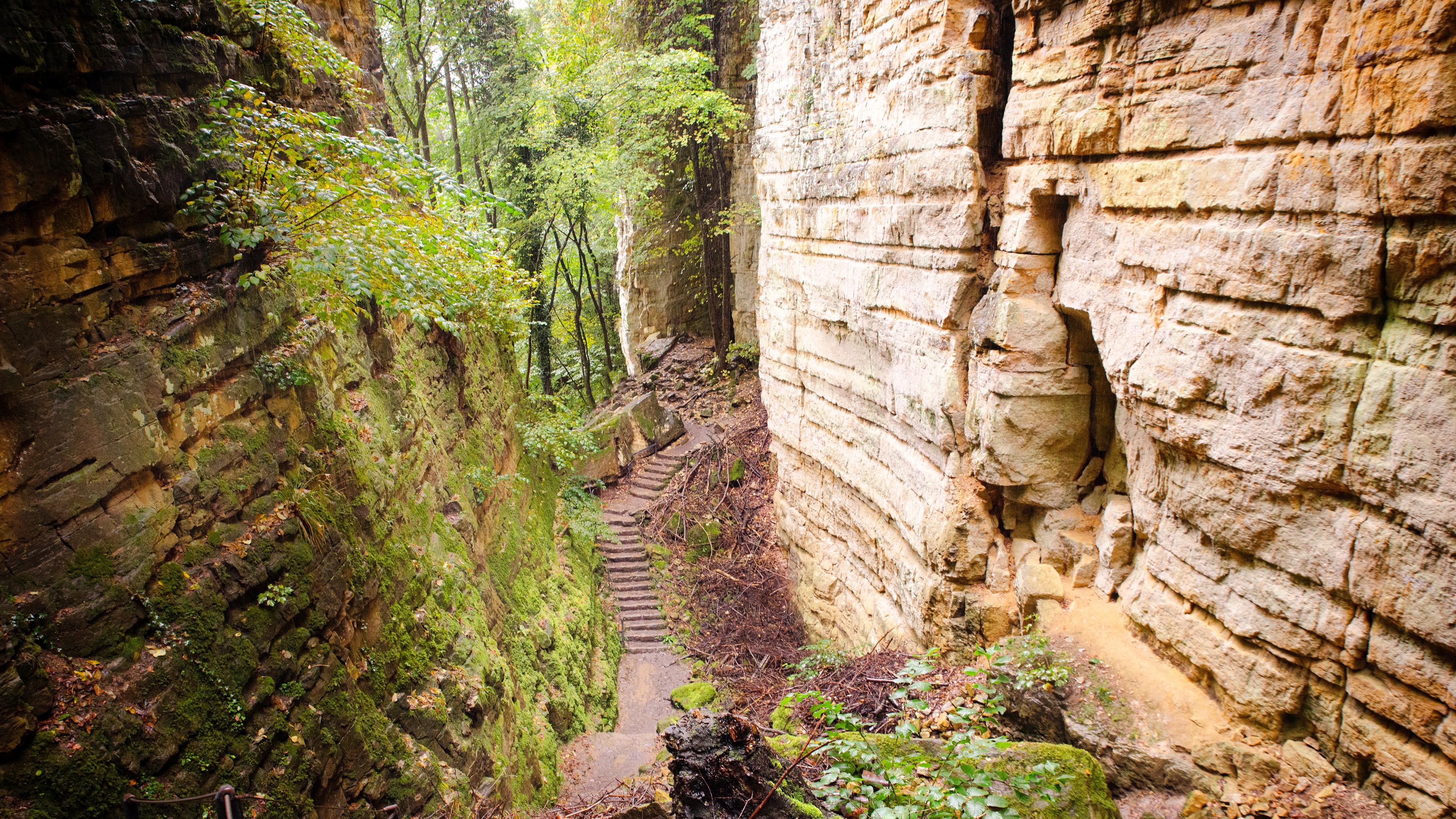 Die Wolfsschlucht ist eine am Stadtrand von Echternach gelegene Schlucht in Luxemburger Sandstein. 