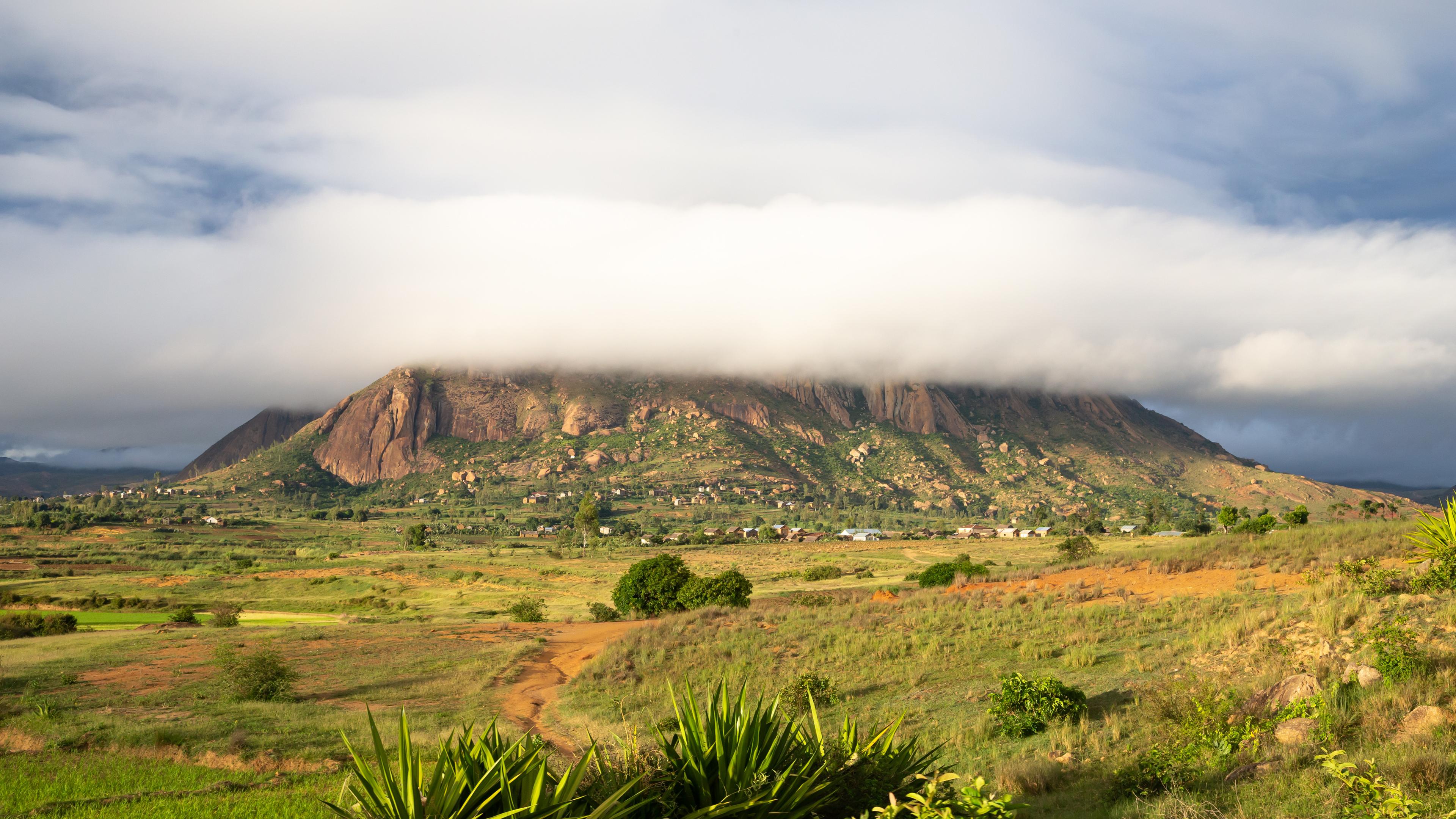 Grüne Felder und ein Berg in madagaskar