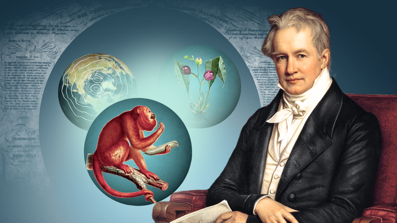 Alexander Von Humboldt: Der Erste Wikipedianer? - ZDFmediathek