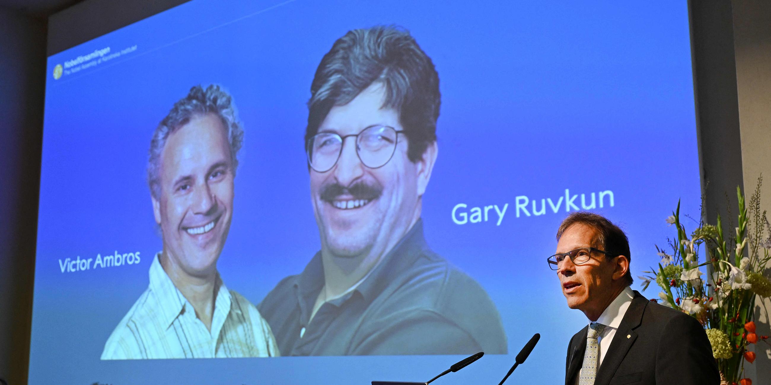 Das Bild der diesjährigen Preisträger Victor Ambros und Gary Ruvkum während der Bekanntgabe der Gewinner des Nobelpreis für Medizin