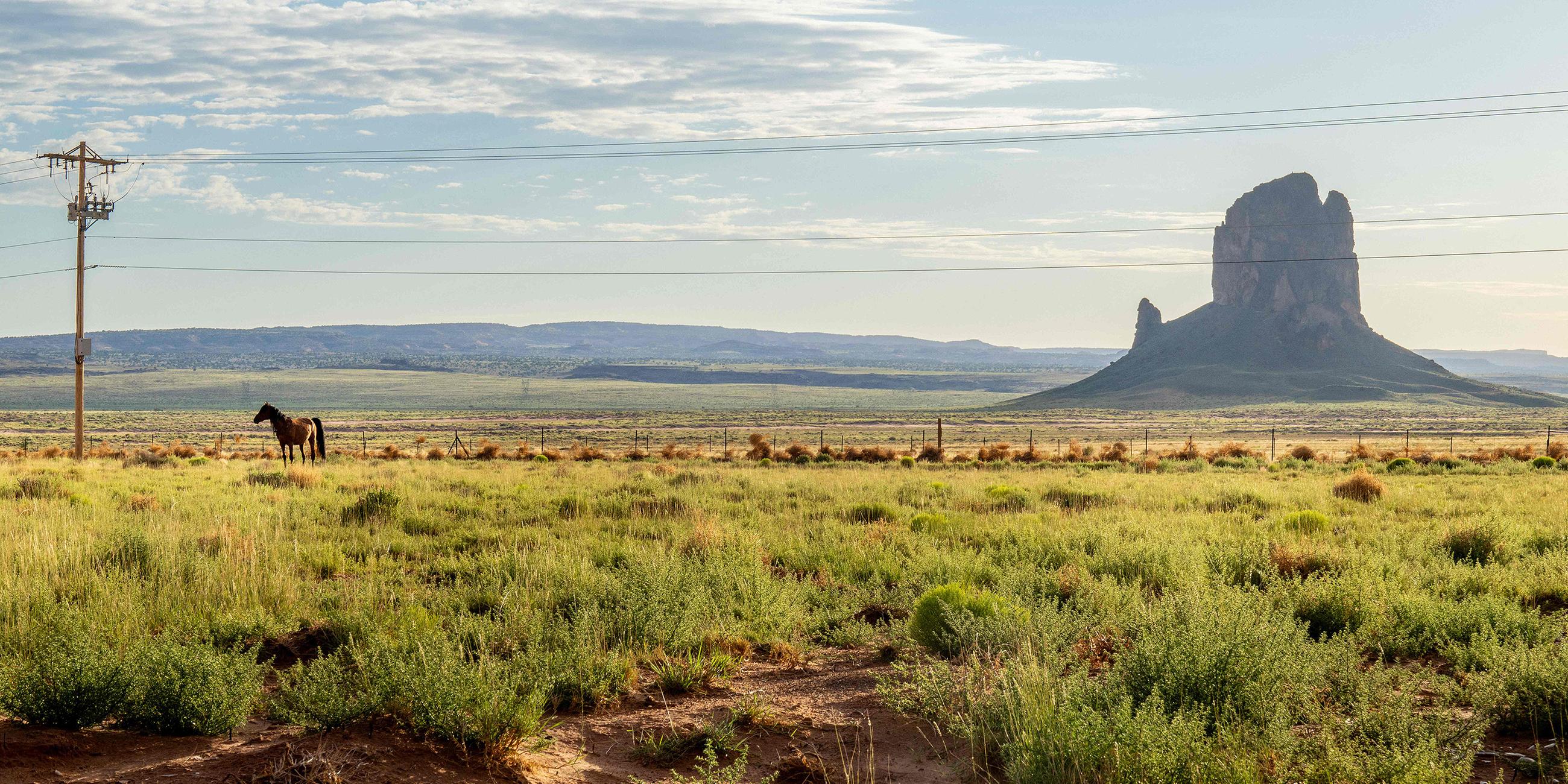 Die Navajo-Nation erstreckt sich über hunderte Kilometer im Norden Arizonas, nach New Mexico und Utah. Allein die weiten Entfernungen zu Wahllokalen sind eine der Hürden zur Stimmabgabe.