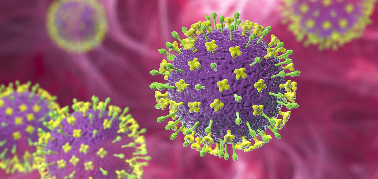 3D Illustration des Nipah-Virus, ein neu auftretendes Virus, das akute Atemwegserkrankungen und schwere Enzephalitis verursacht.