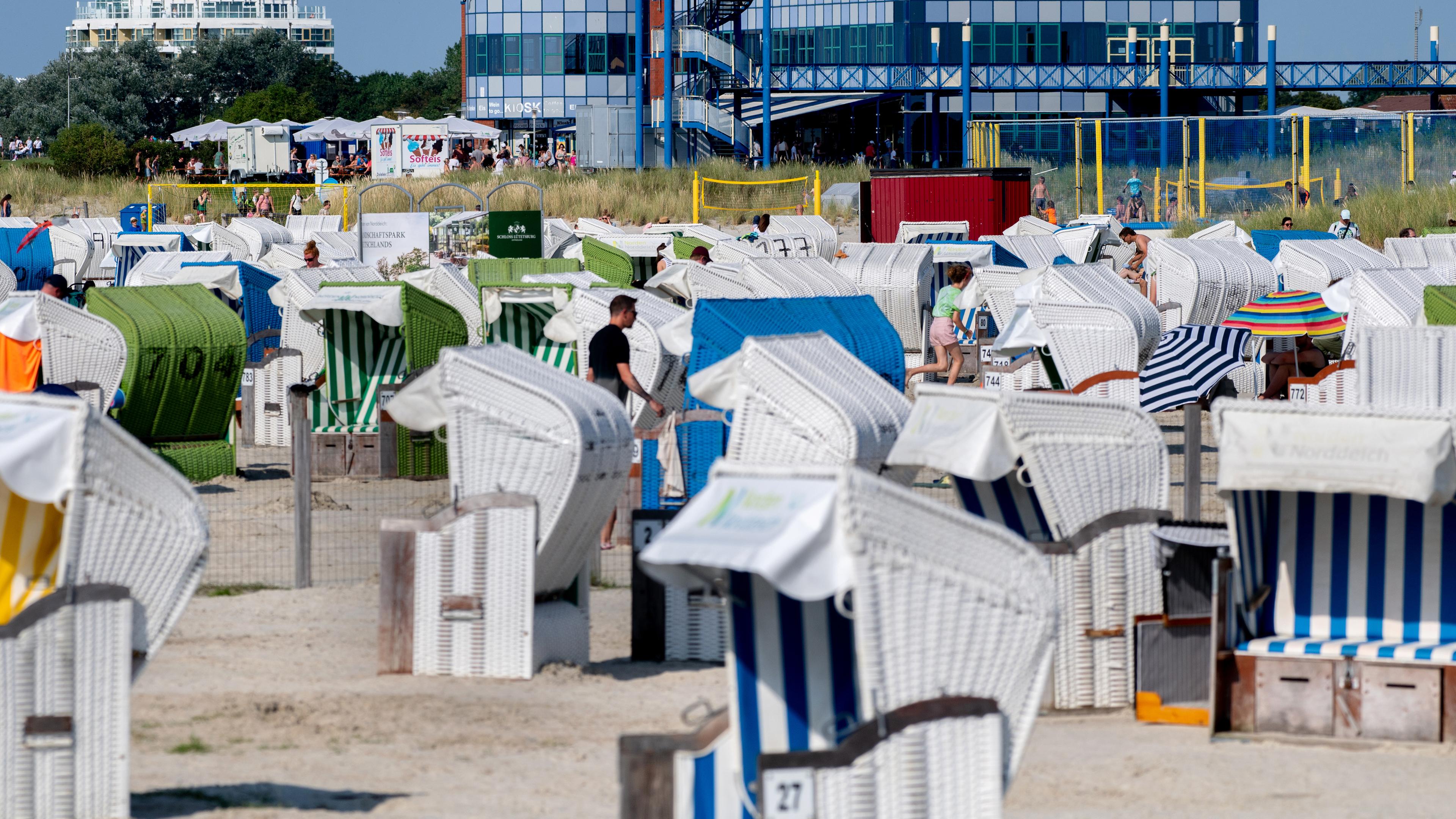 Zahlreiche Strandkörbe stehen bei sonnigem Wetter am Strand an der Nordsee.