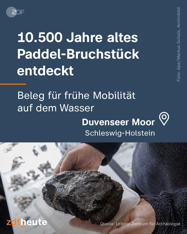 Ein entdecktes Stück aus dem Leibniz-Museum für Archäologie.