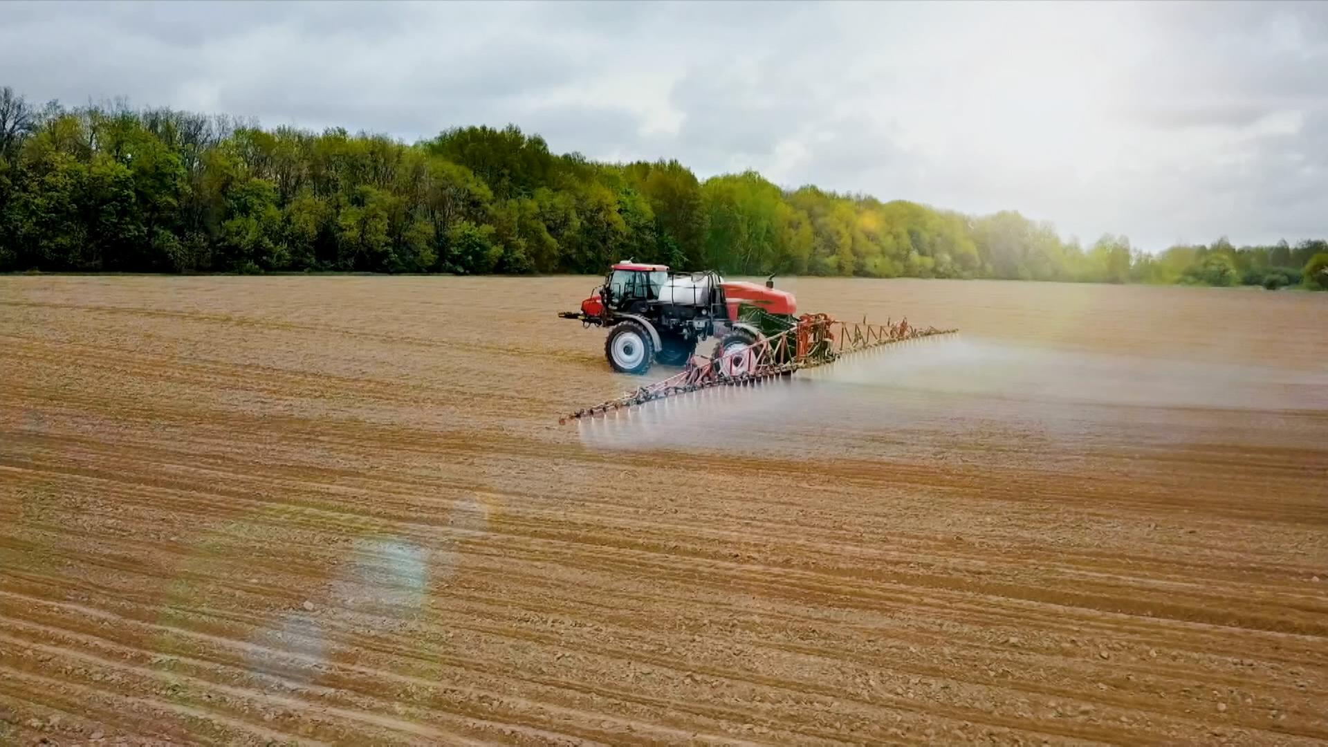 Die Maschine des Unternehmens aus Niederrhein fährt über ein Feld und entfernt Unkraut durch KI-basierte Erkennung ganz ohne Pestizide.