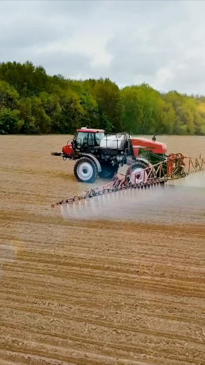 Die Maschine des Unternehmens aus Niederrhein fährt über ein Feld und entfernt Unkraut durch KI-basierte Erkennung ganz ohne Pestizide.