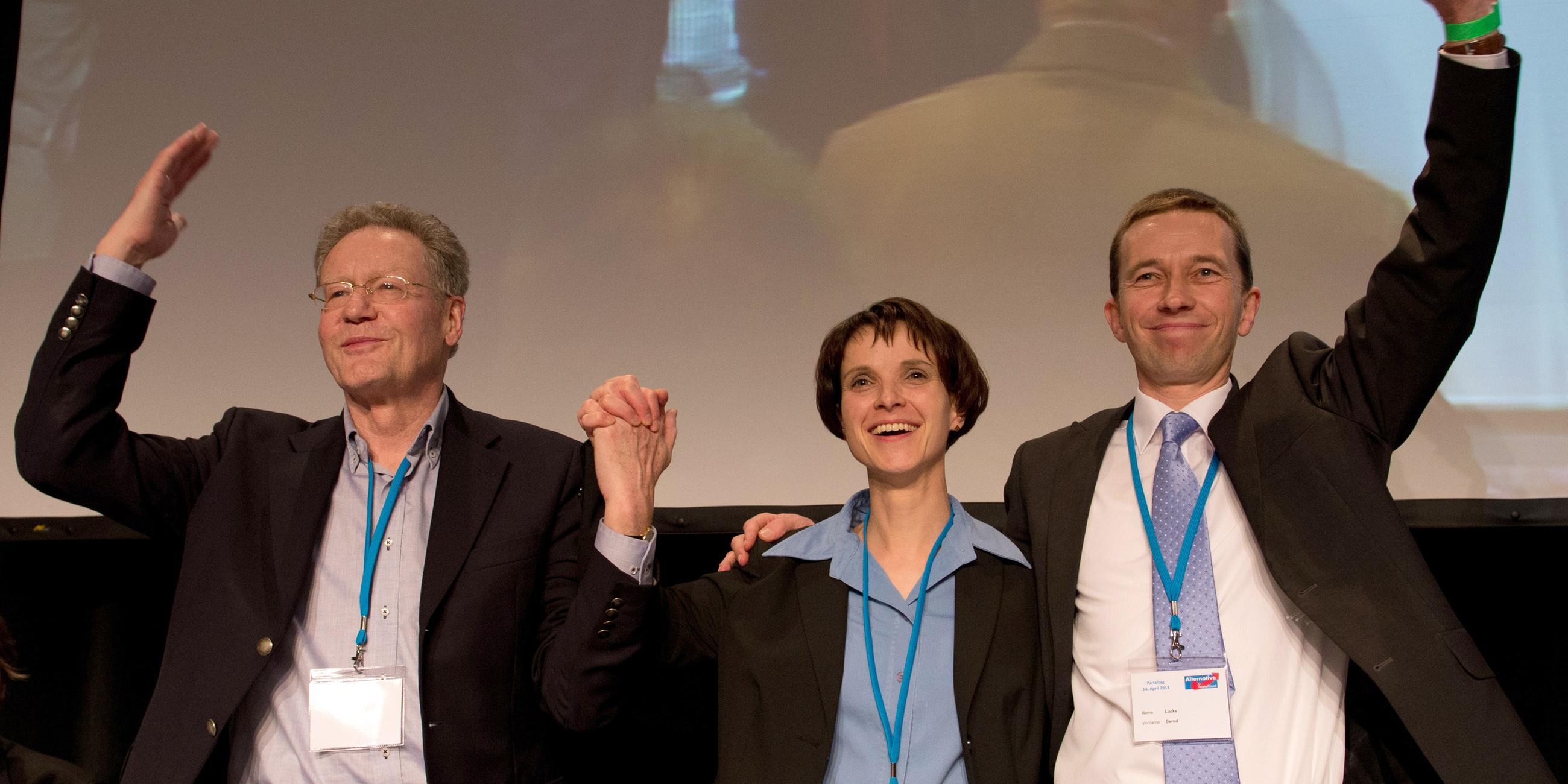 Lucke, Petry und Adam beim AfD-Parteitag zu den Vorsitzenden gewählt.