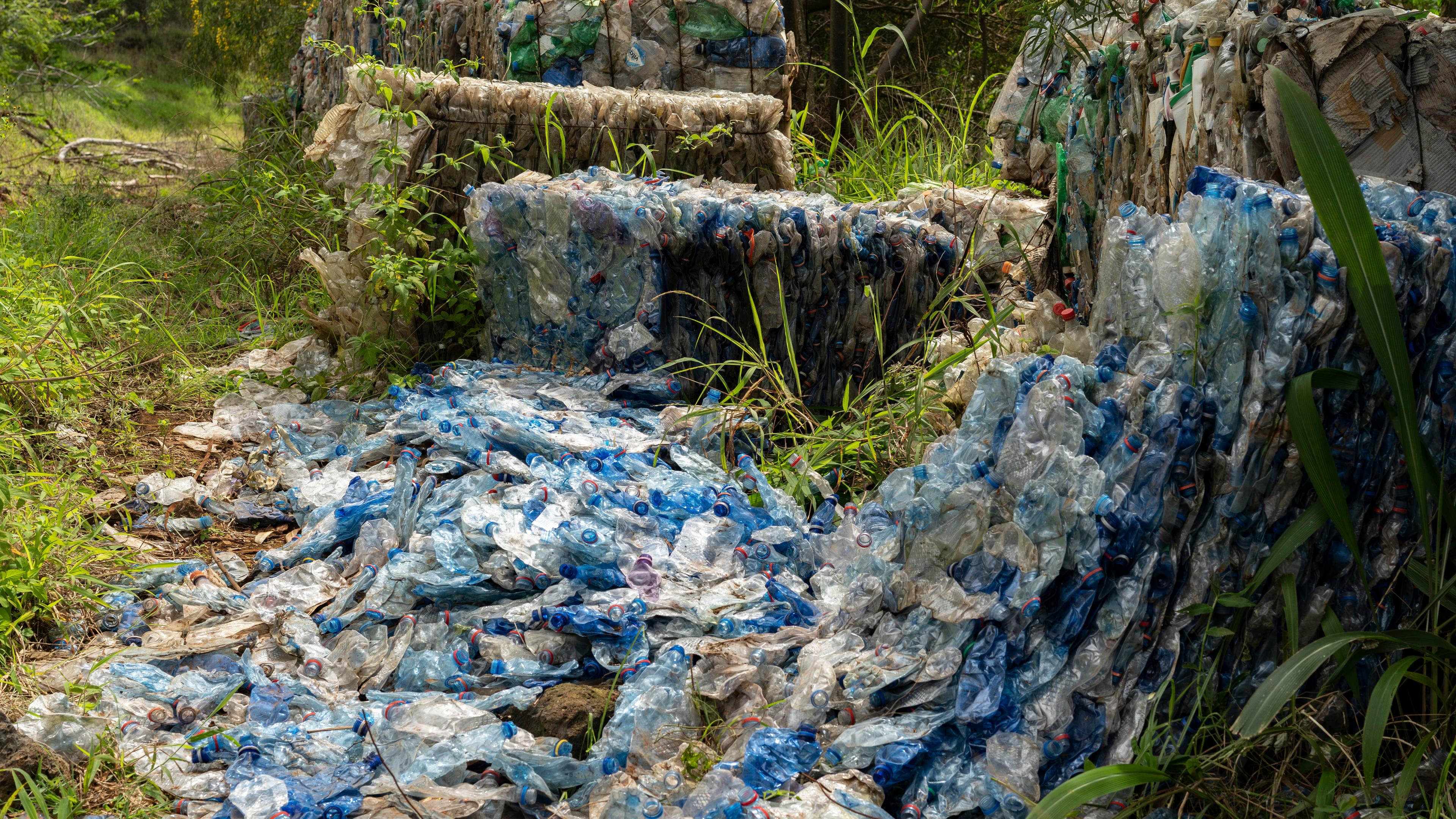 Etliche leere, zusammengepresste Plastikflaschen, teilweise als Müllballen zusammengezurrt, liegen auf einer Wiese. Im Hintergrund sind grüne Büsche und Bäume.