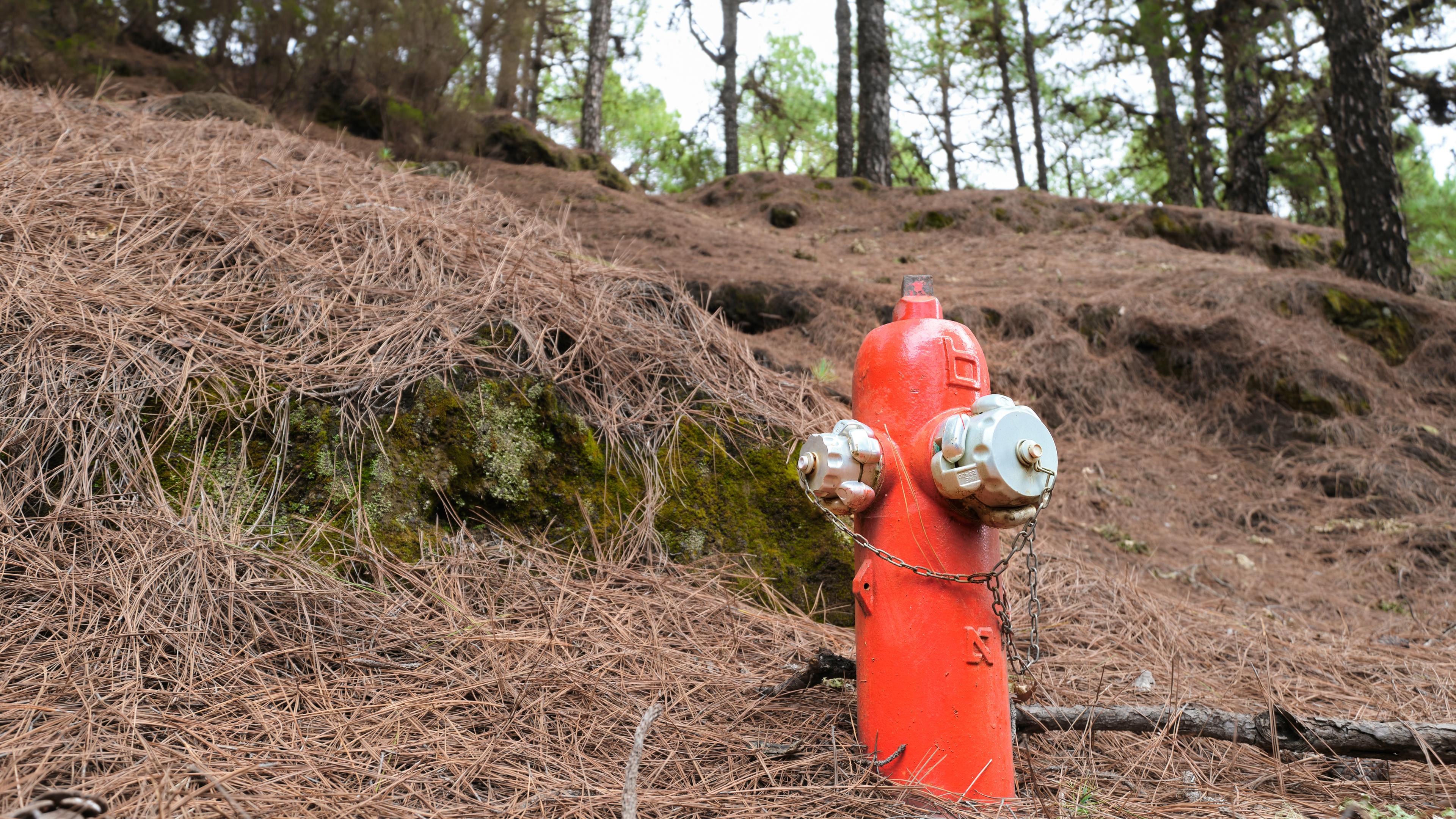 Wasserhydrant zur Prävention bei Waldbränden in Spanien