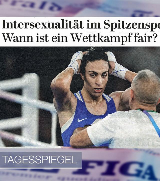 Presseschau