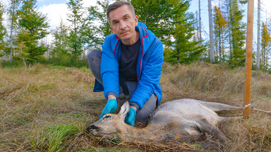 Pur+ - Das Entdeckermagazin Mit Eric Mayer - Pur+ Tote Tiere - Lebendiger Wald!