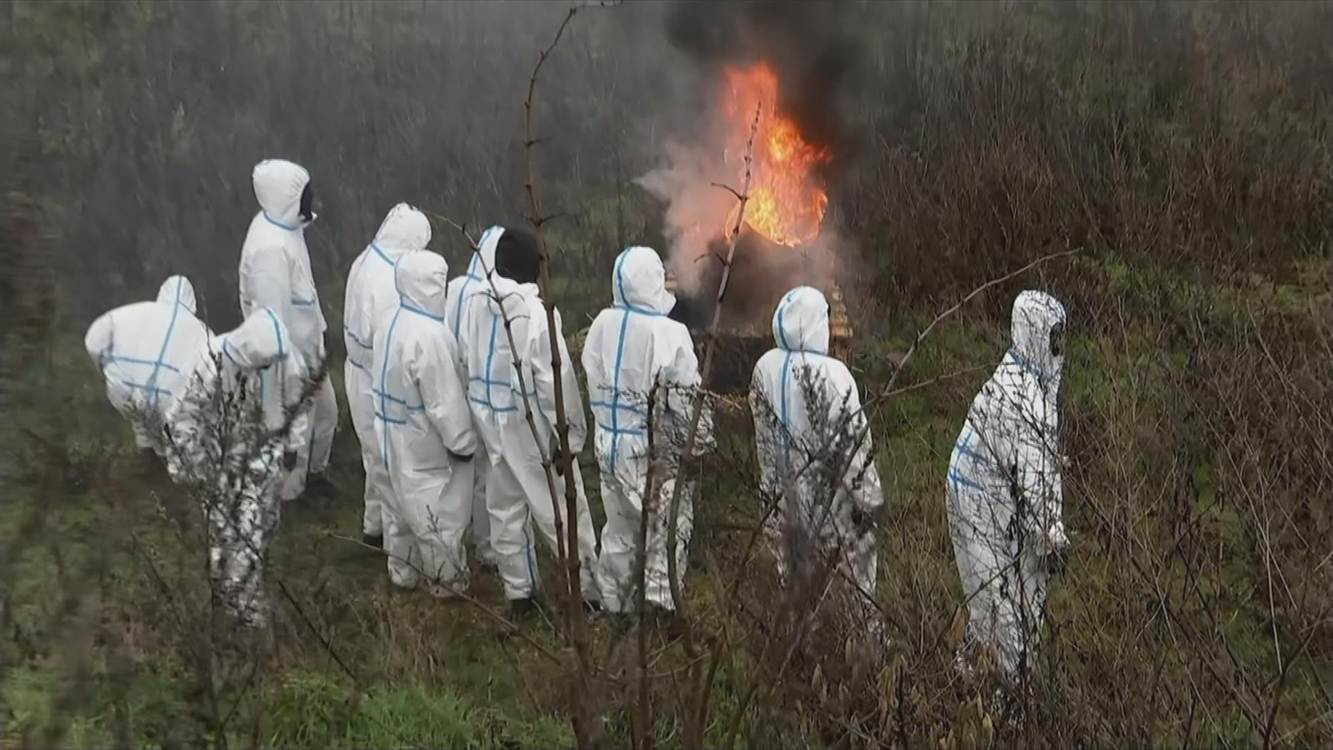 Umwelt-Aktivisten blockieren die Räumungsarbeiten in Lützerath.