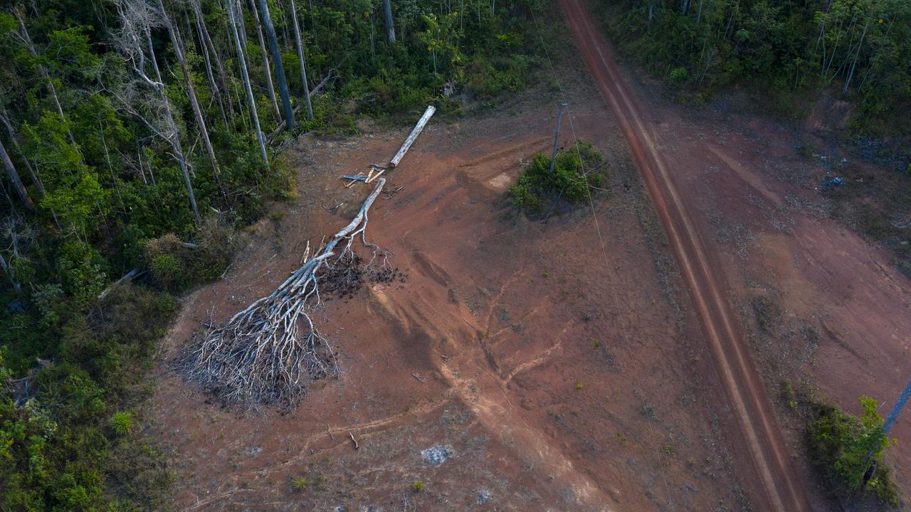 Regenwald Amazonas Abholzung Schreitet Rasant Voran Zdfheute