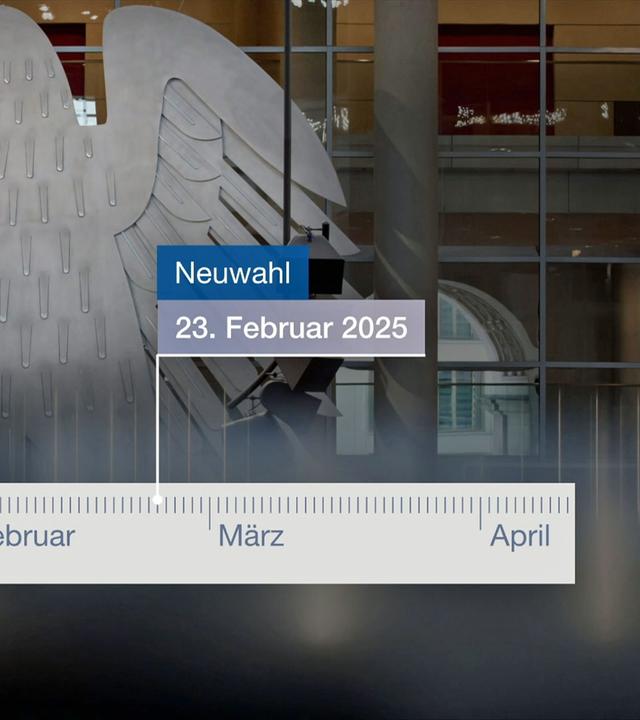 Neuwahl-Zeitplan