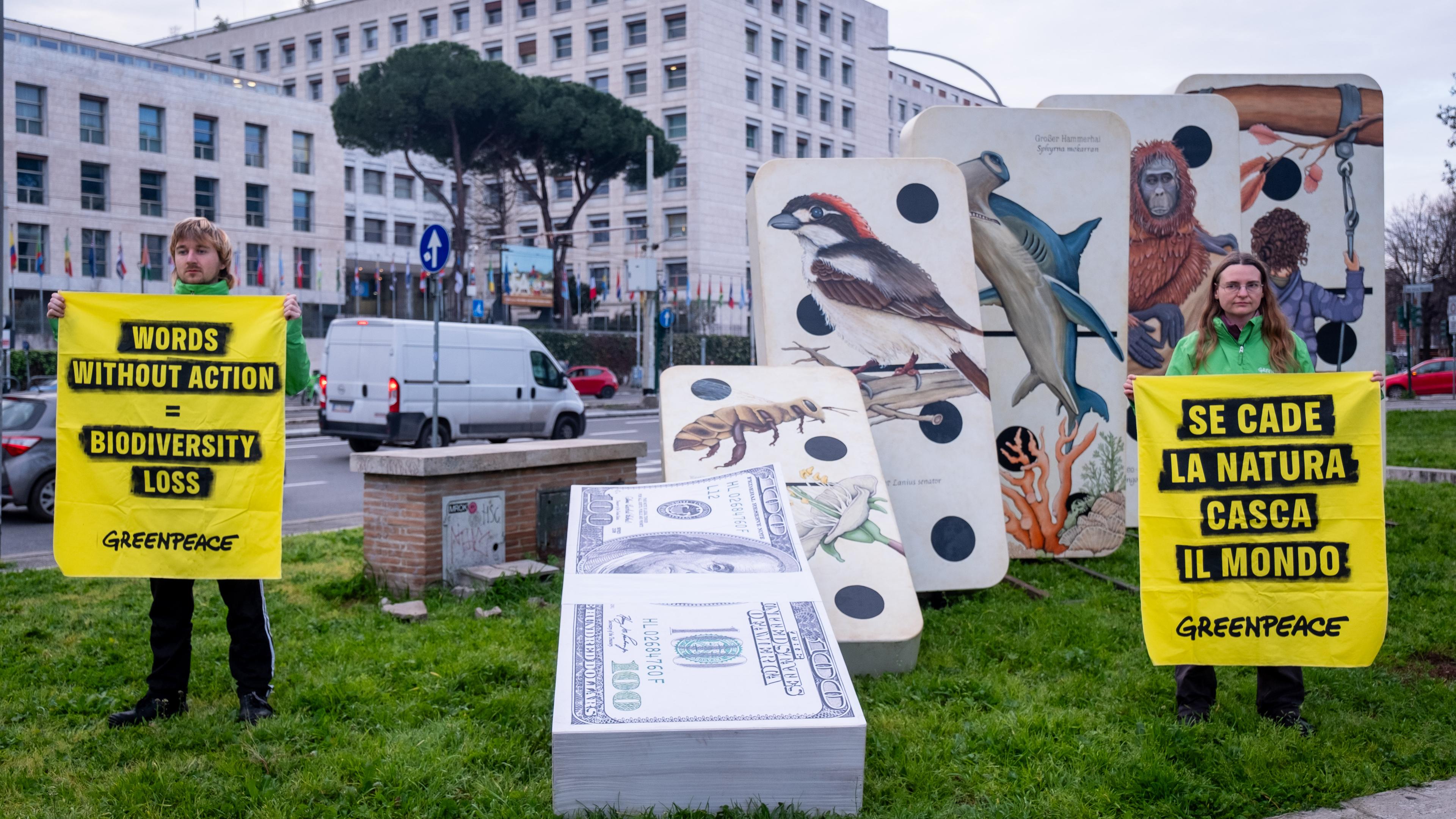 Vor dem Beginn der COP16-Konferenz protestieren Greenpeace-Aktivisten vor dem FAO-Gebäude, dem Hauptsitz der internationalen Ernährungs- und Landwirtschaftsorganisation der Vereinten Nationen