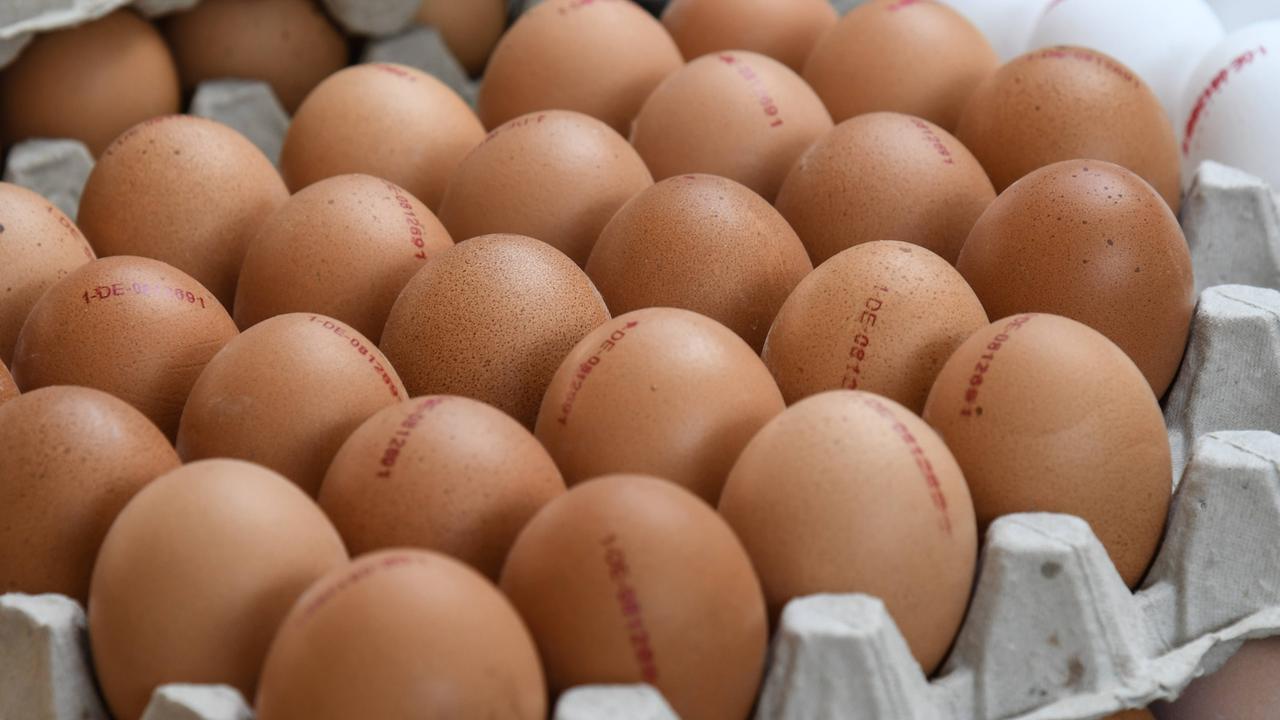 Wegen Salmonellengefahr Rückruf Von Bioeiern Zdfmediathek