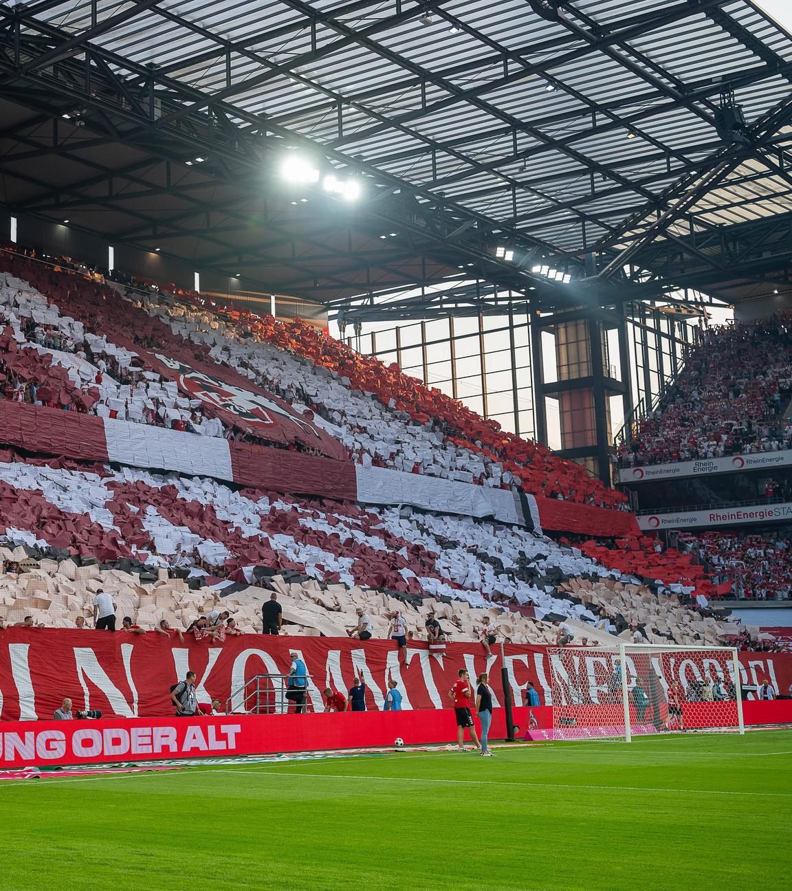 1. FC Koeln - Hamburger SV im RheinEnergie Stadion in Koeln. 