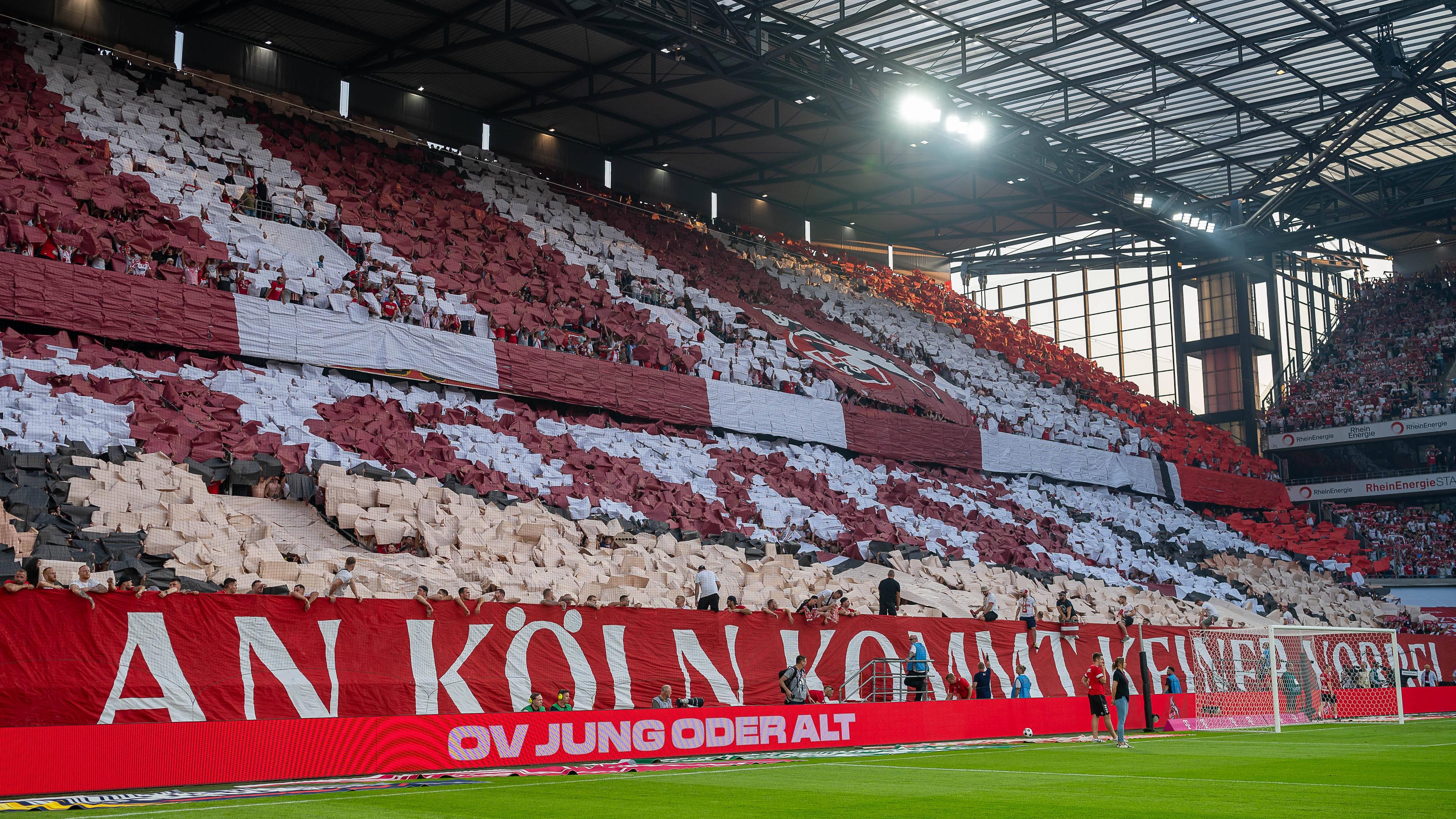 1. FC Koeln - Hamburger SV im RheinEnergie Stadion in Koeln. 